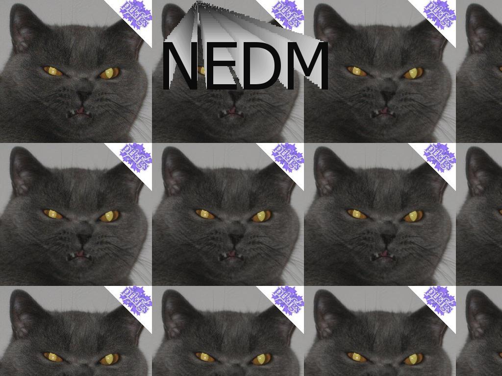 UnHappyCatNEDM