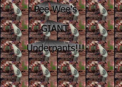 Pee Wee's Giant Underpants Swing!