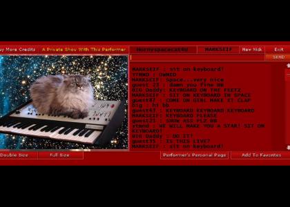 CAT ON KEYBOARD IN SPACE NEEDS MONEY