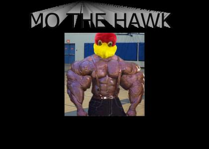 Mo the Hawk