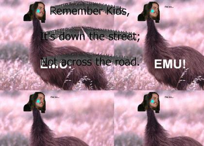 Matt is Emu