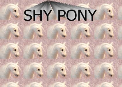 shy pony
