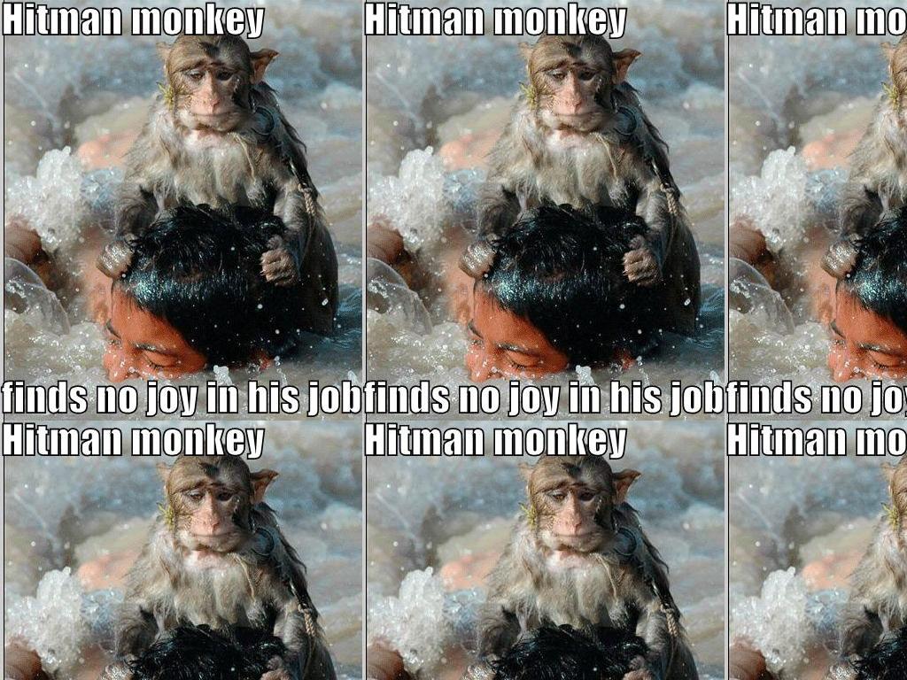 hitmanmonkey