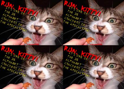 Run, Kitty!