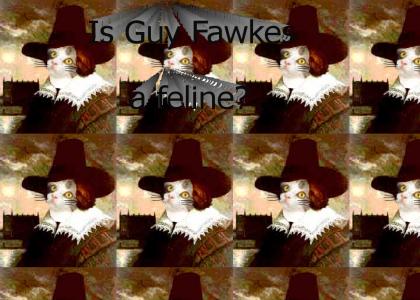 Is Guy Fawkes a feline?