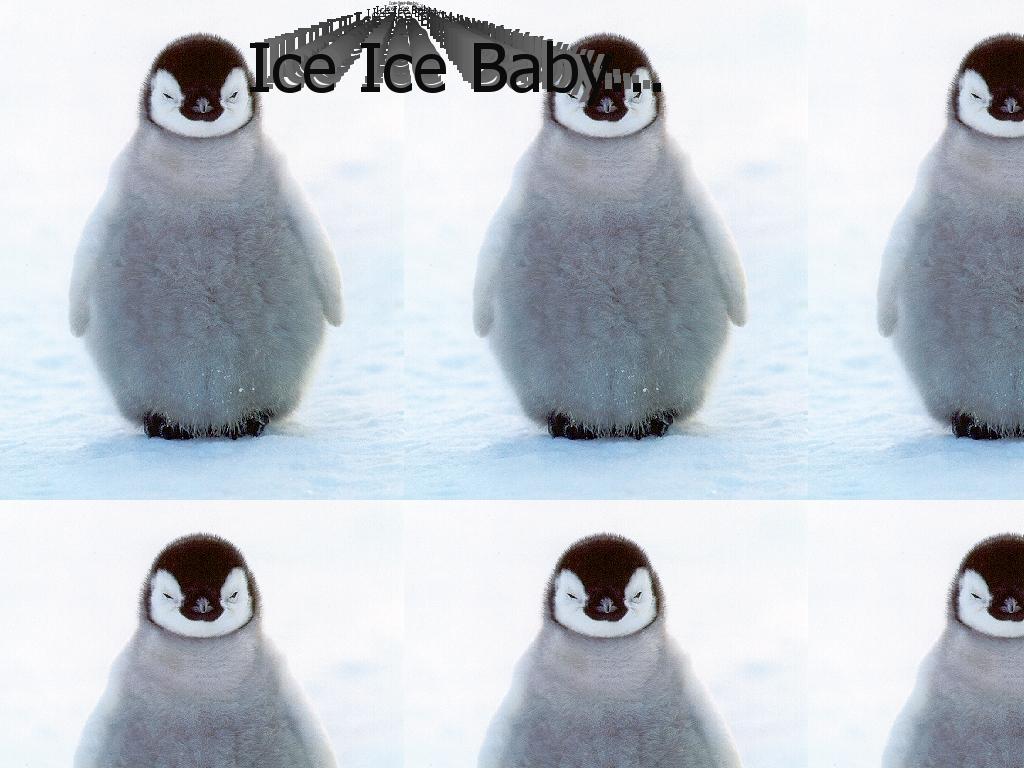 therealiceicebaby