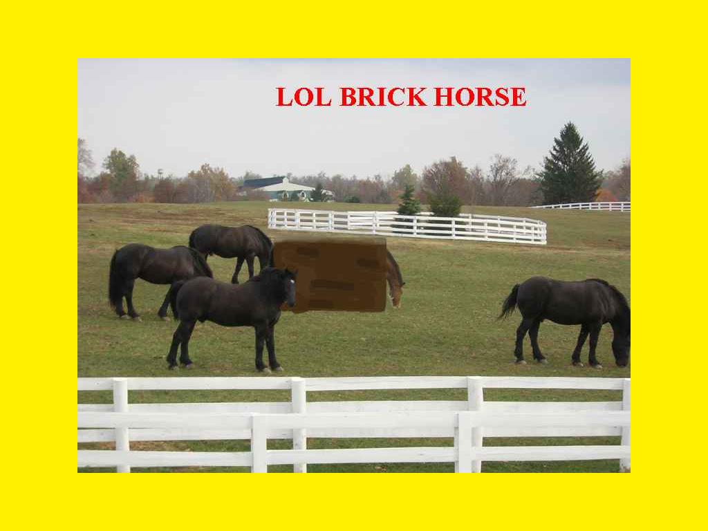 Brickhorse