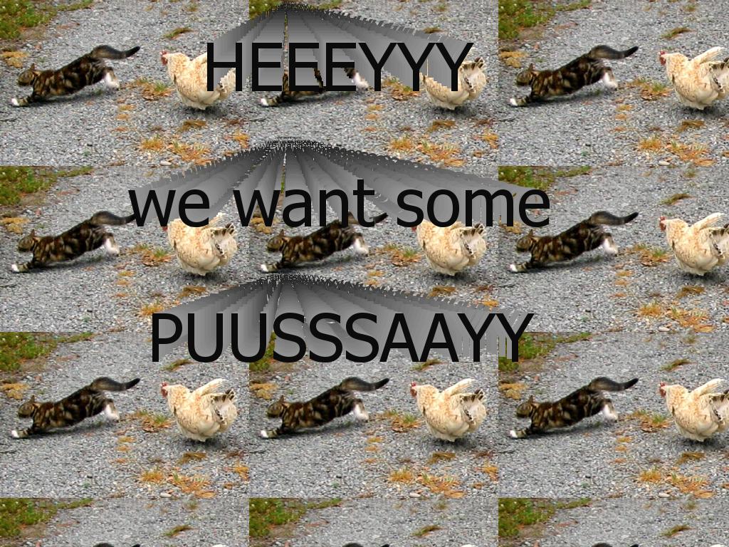 pussychase