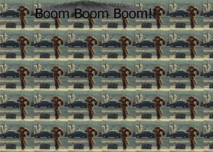 Dancing Bear Boom Boom Boom