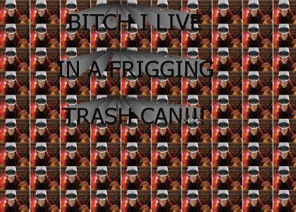 trashcanhead - bitchiliveinafriggingham daveshuppel