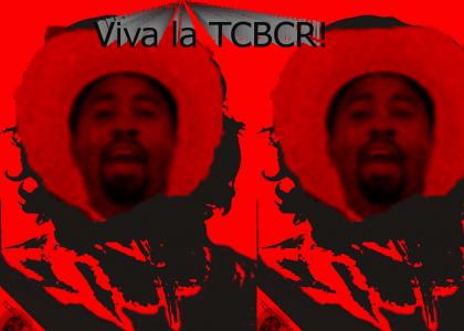 TCBCRTMND: ¡ Hootie Revolucion !