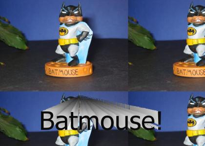 Batman has a small impersonator...