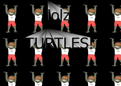 LOLz TURTLE!!!!!!(better song)