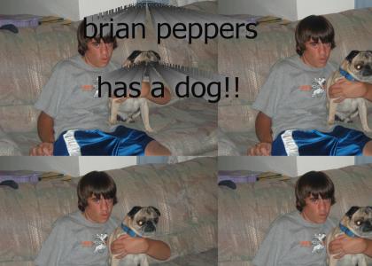 Brian Peppers Dog