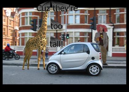 Giraffes can't go in Smart cars