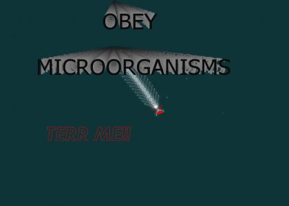 Microorganism4Terr