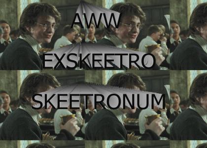 Harry Potter Skeets
