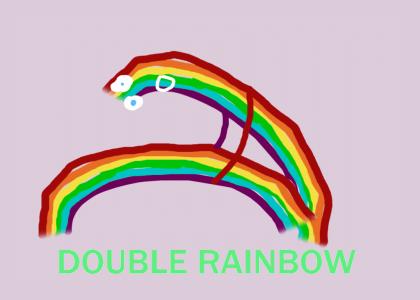 CONTESTSUM2010: Double Rainbow