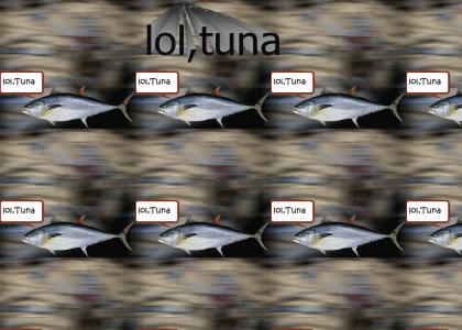 lol,Tuna