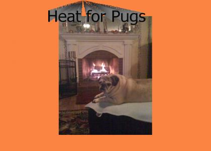 Heat for Pugs