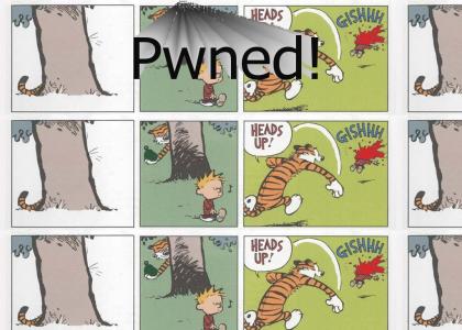 Calvin gets Pwned!