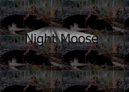 Night Moose