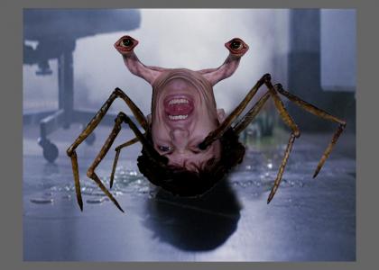 Egonym Head Spider