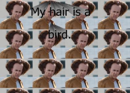 Nick Cage has eagle hair