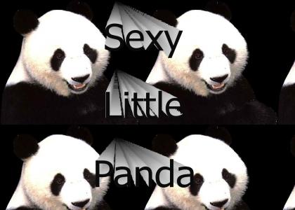 The Sexy Little Panda Bear