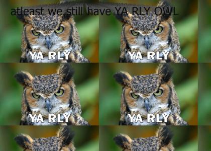 Hey, look at the bright side of O RLY owl's death...