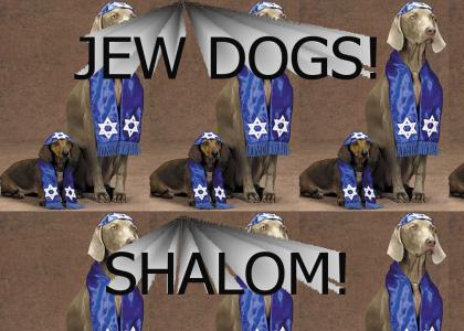 Jew Dogs!