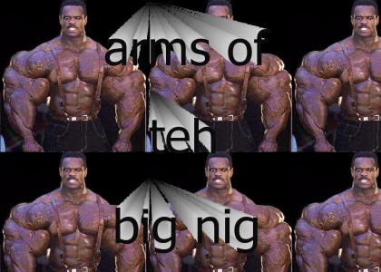 Big Nig