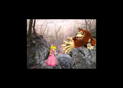 NIN leaves Peach to Donkey Kong