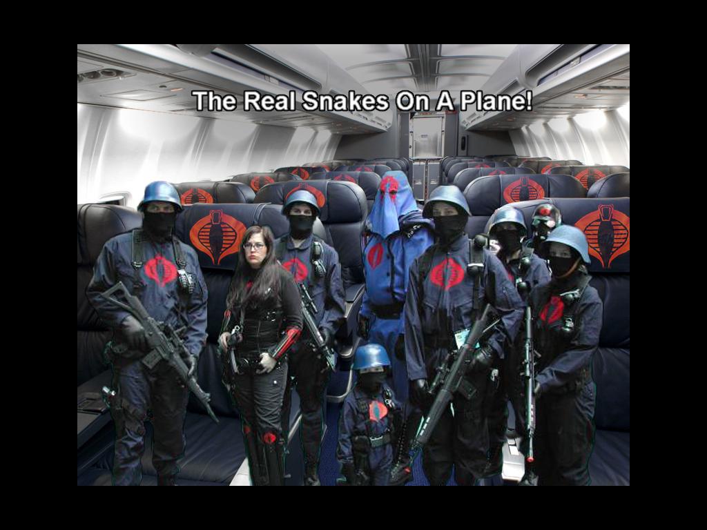real-snakes-on-a-plane
