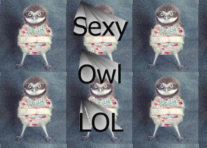 Sexy owl