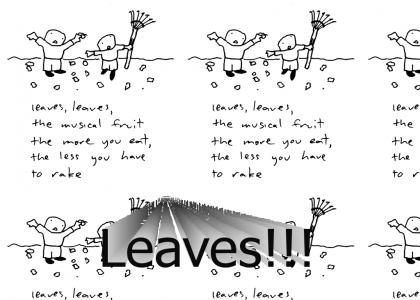 Leaves!!!