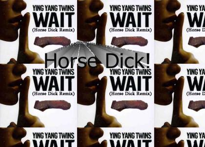 Wait(Horse Dick Remix)