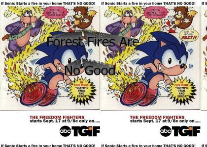 Sonic FriPM Ad #2