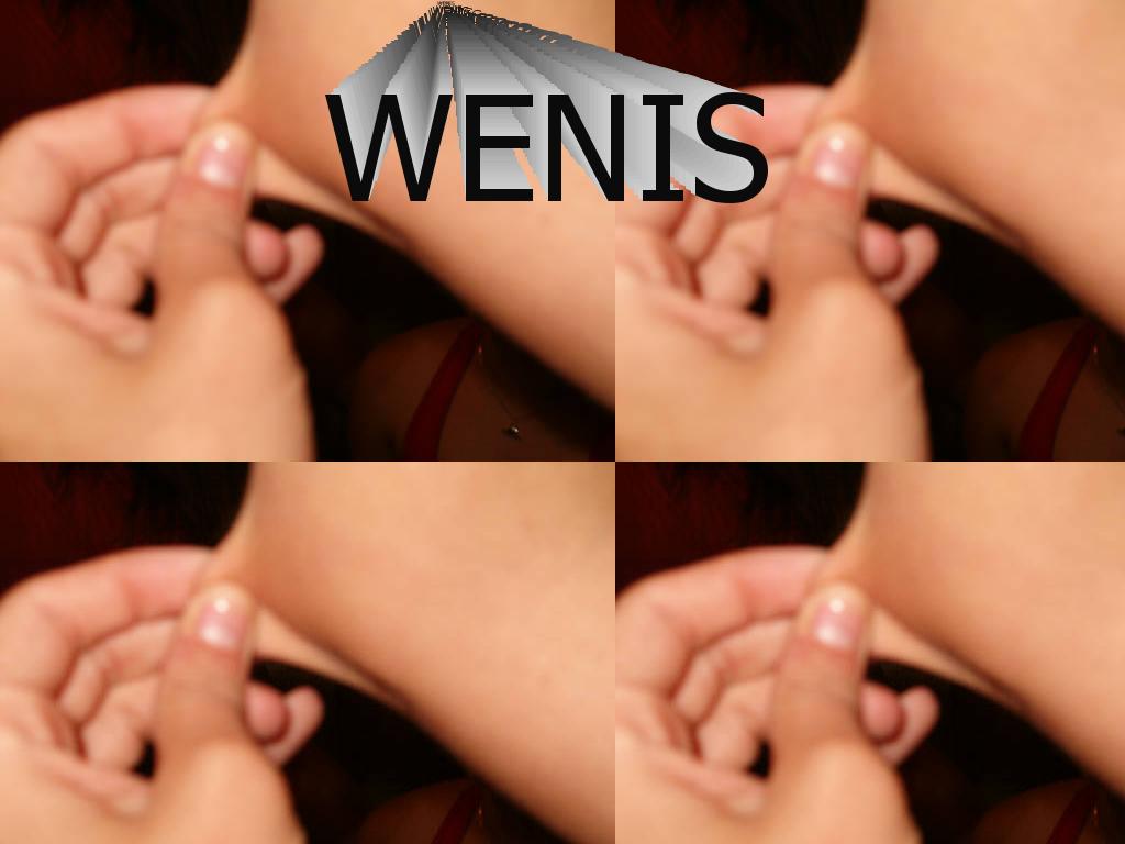 WENISS