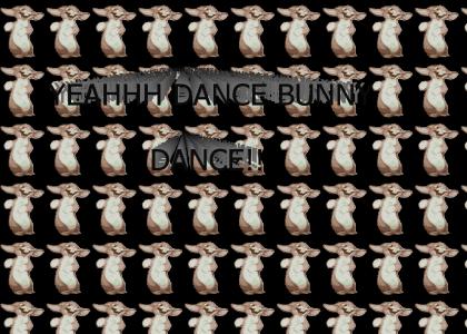 yeah dance bunny dance
