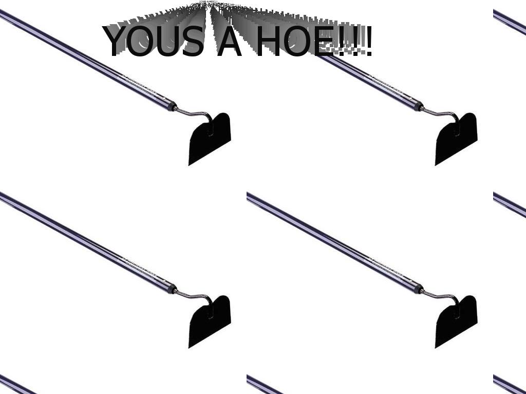 yousadirtyhoe