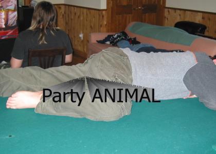 Pool table = Bed