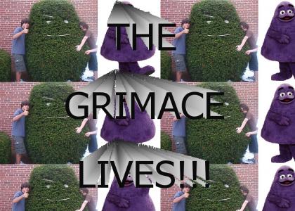 The Grimace is Mighty