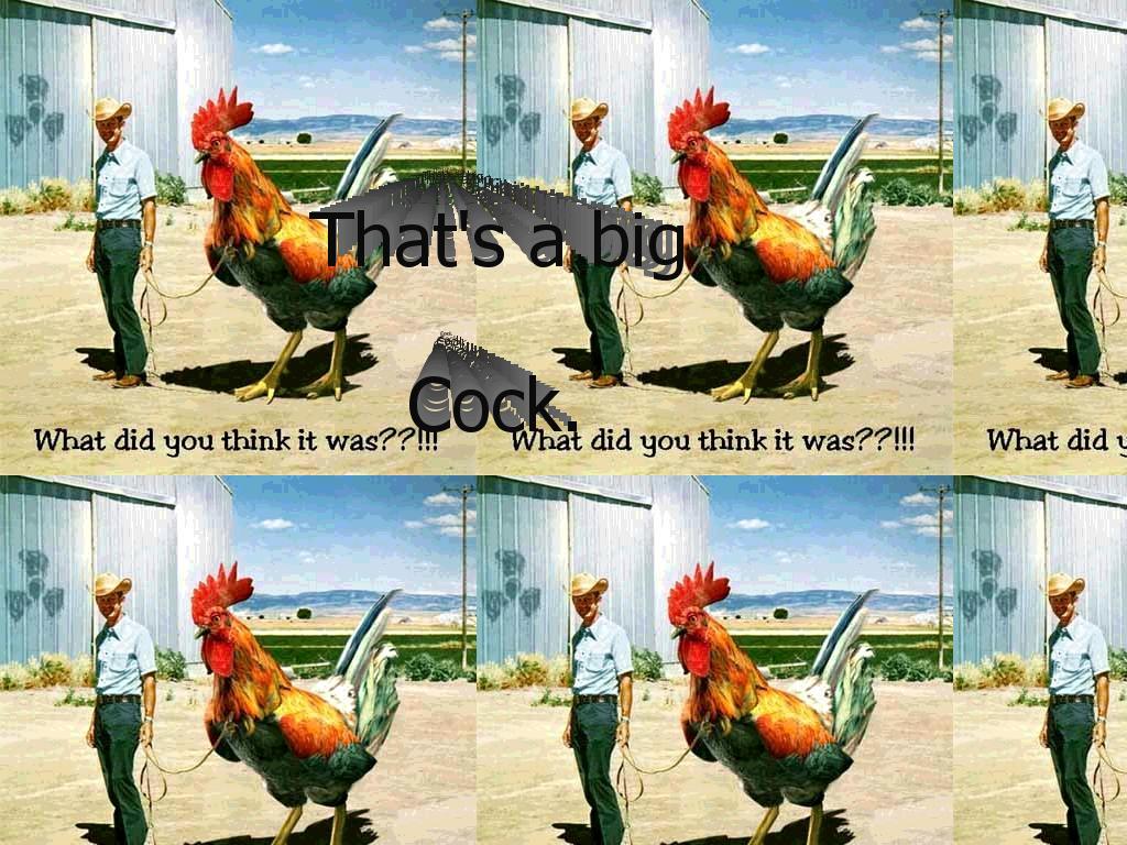 cockmaster