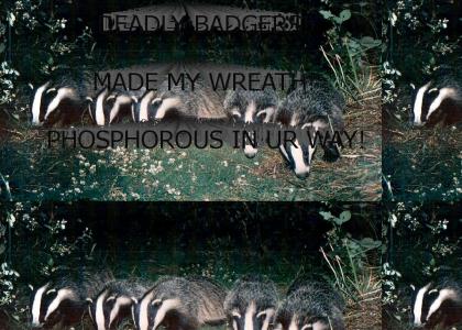 DEDLY BADGERS