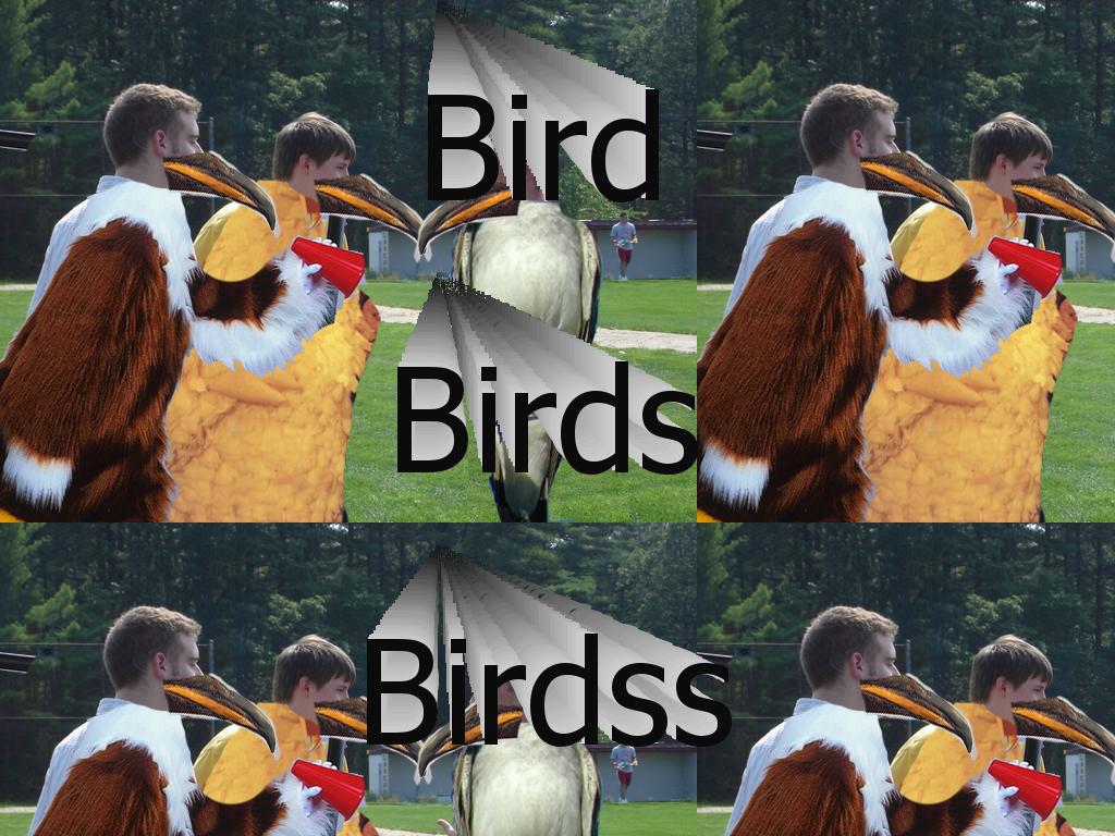 birdiesatsl