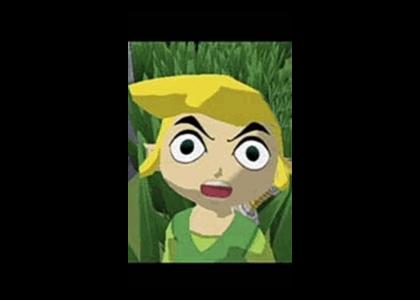 Wind Waker Link stares into your Soul