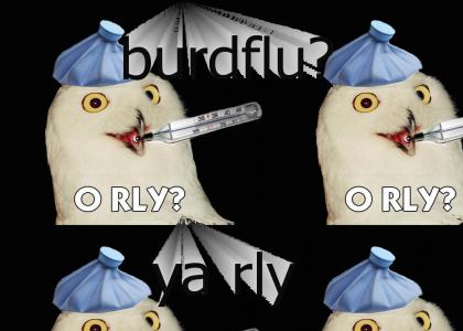 o rly burd flue