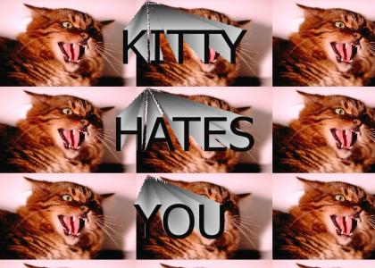 Kitty Hates You!