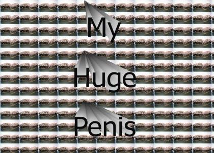 Pic Of My Penis